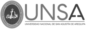 Logo de la Universidad Nacional de San Agustín de Arequipa, institución académica donde Vivi Morales Villa ha tenido presencia