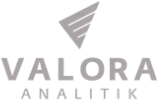 Logo de Valora Analitik, medio de comunicación financiero donde Vivi Morales Villa ha tenido presencia